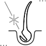 Hızlı